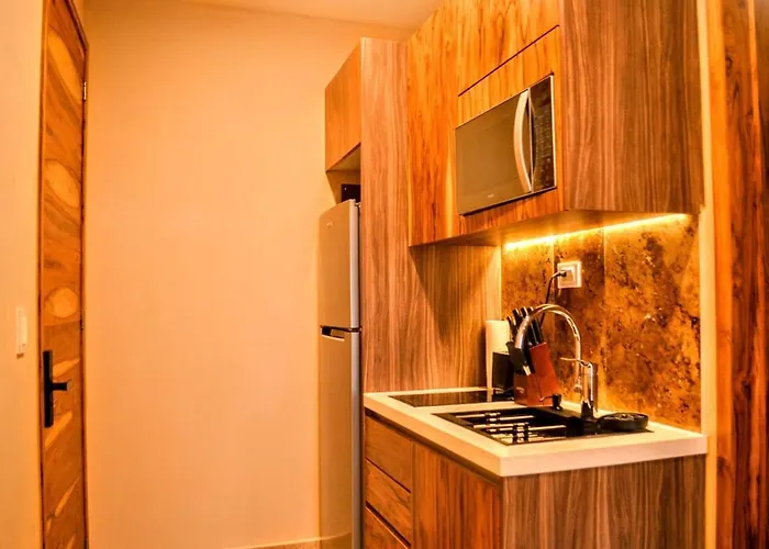Modern Caribbean Studio, With Sea View *